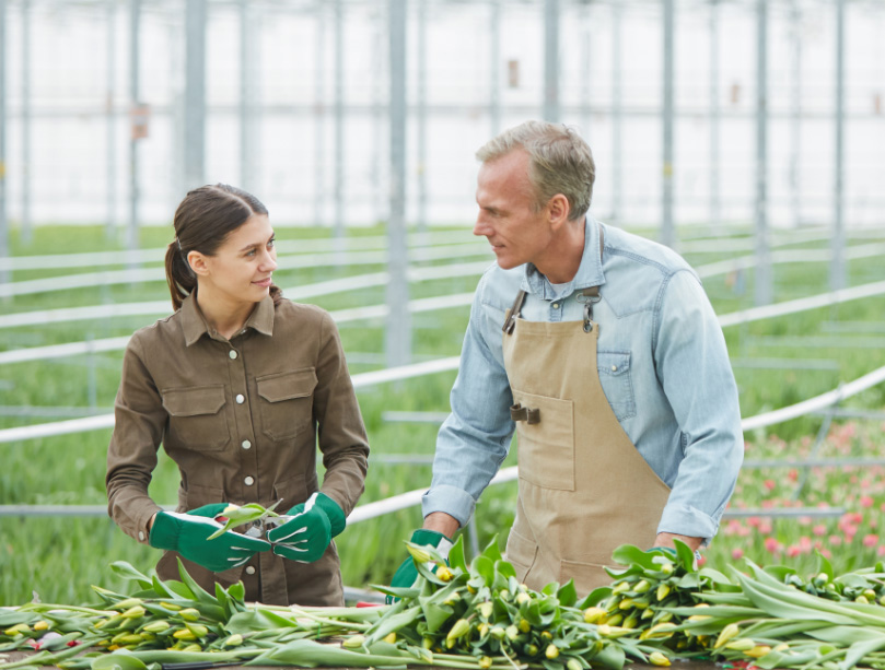 farmers